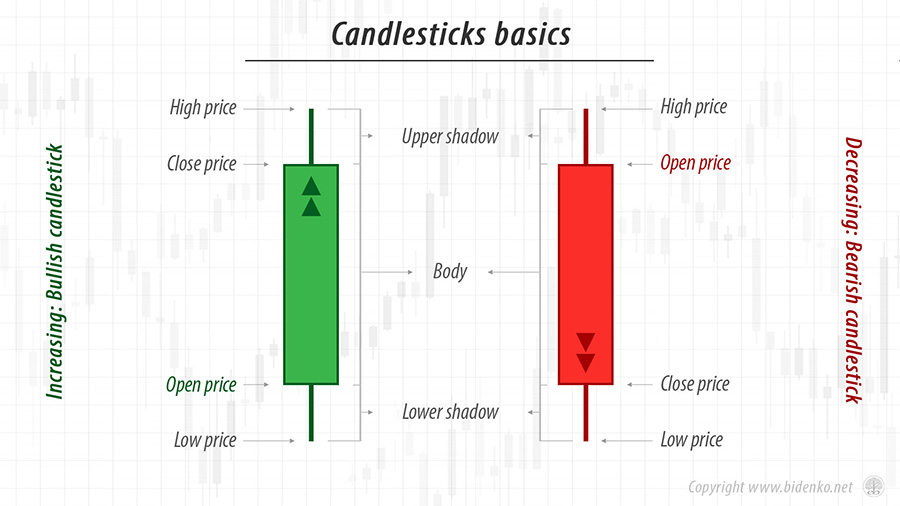 Infographic of candlesticks basics Infographic of candlesticks basics
